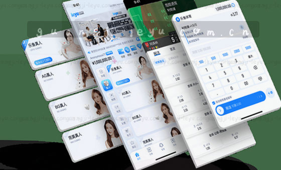数据驱动决策，洞见未来